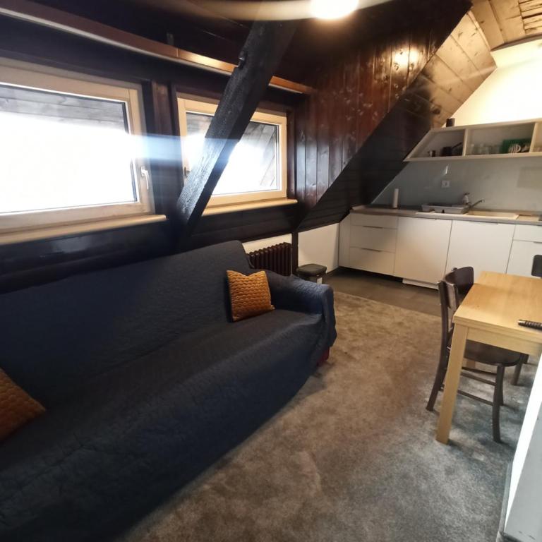 Vučko apartmani Konaci - Apartman sa 1 Spavaćom Sobom - 2