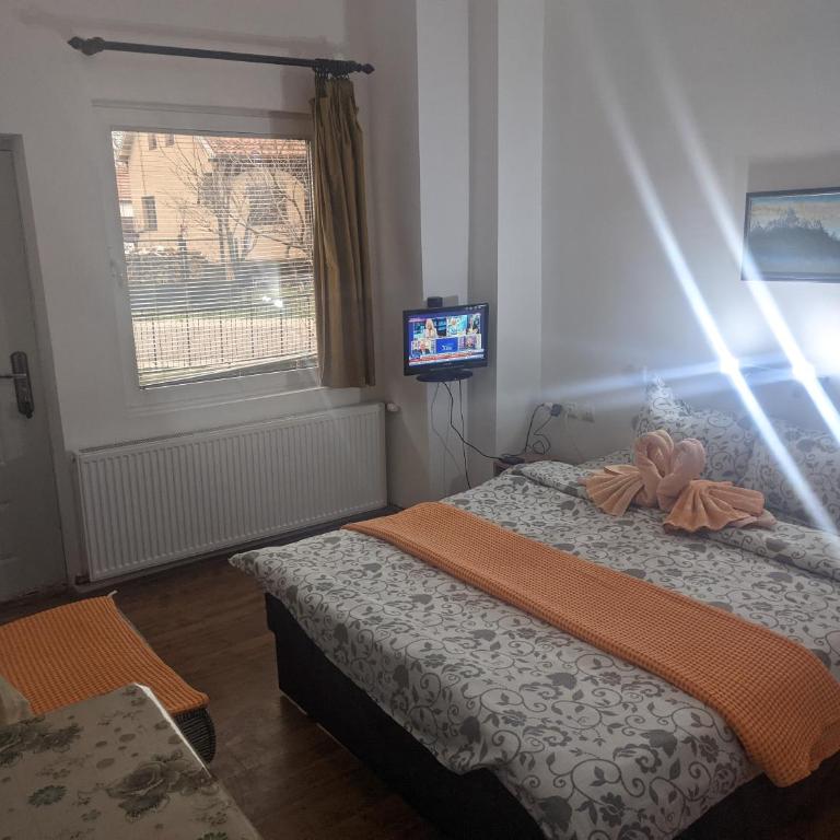 Sanja Accomodation - Studio Apartman - 5