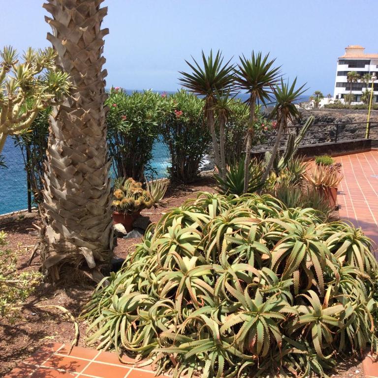Apartment With Ocean Terrace - Apartamento de 1 dormitorio - 24