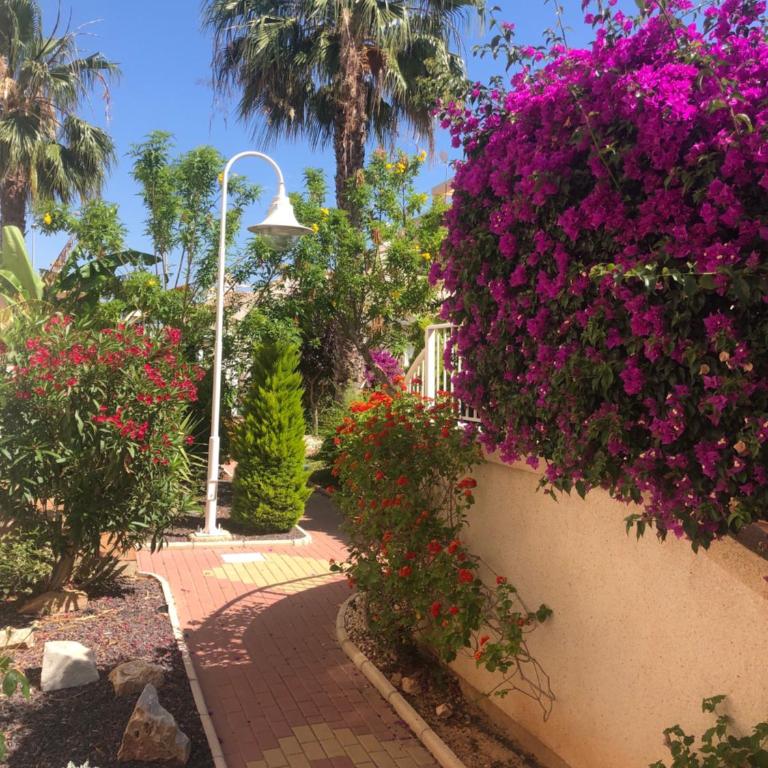 Villamartin Tosca - Apartamento de 2 dormitorios - 5