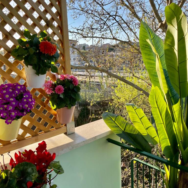 Monstera House Roma Trastevere - Apartment mit 1 Schlafzimmer - 44