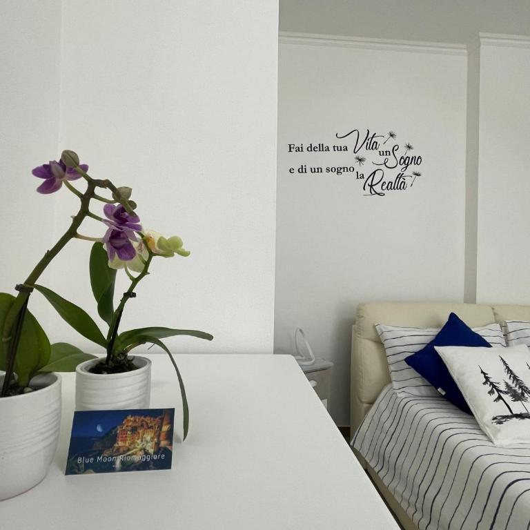 Blue Moon Riomaggiore casa vacanze - Apartamento de 1 dormitorio - 4