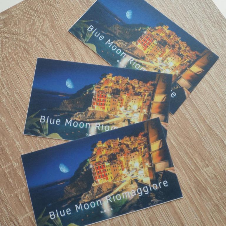 Blue Moon Riomaggiore casa vacanze - Apartamento de 1 dormitorio - 15