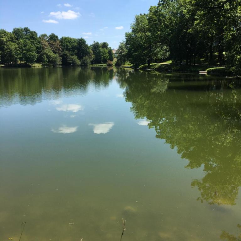 Charmant T2 PISCINE chambre lit double dans résidence du Lac - Apartamento de 1 dormitorio - 35