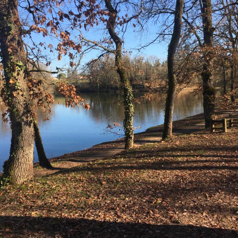 Charmant T2 PISCINE chambre lit double dans résidence du Lac - Apartamento de 1 dormitorio - 23