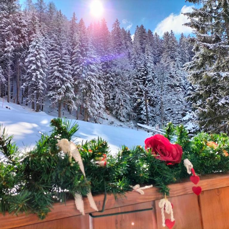 Appartamento Campiglio 2 - Monolocale con Balcone - 3