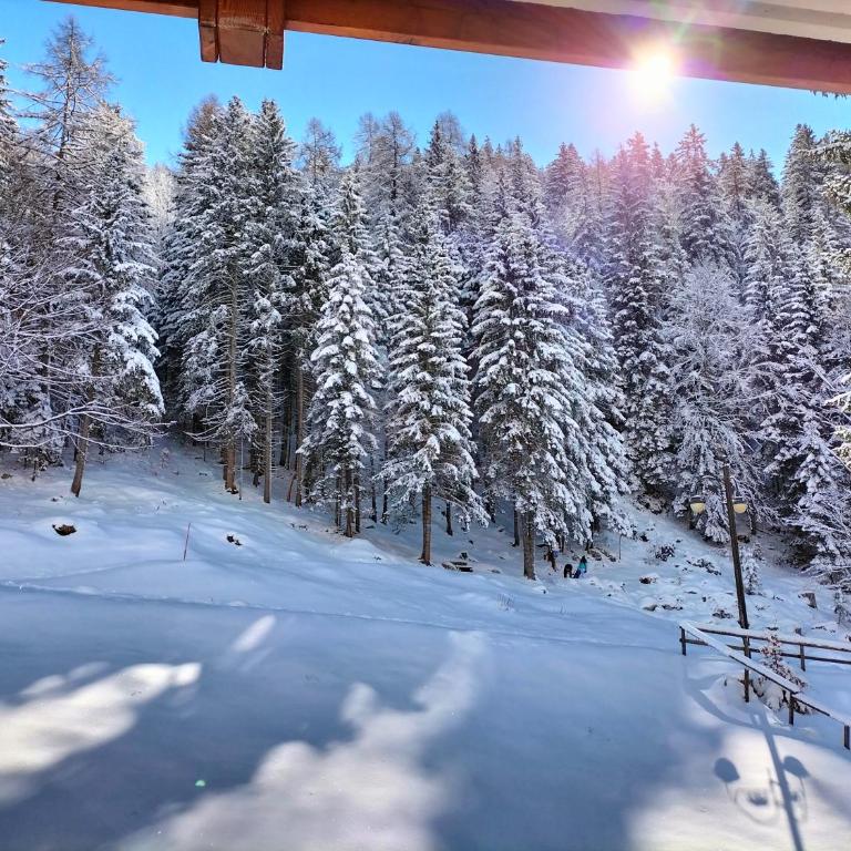 Appartamento Campiglio 2 - Monolocale con Balcone - 11