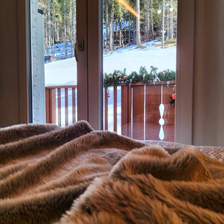 Appartamento Campiglio 2 - Monolocale con Balcone - 12