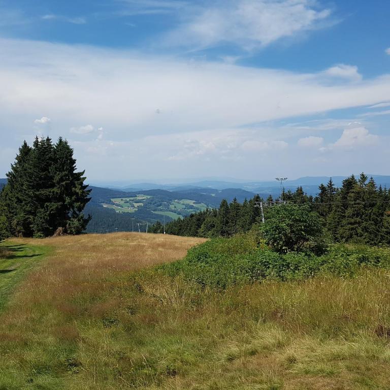Traumurlaub im Bayerische Wald - Apartment mit 1 Schlafzimmer - 5