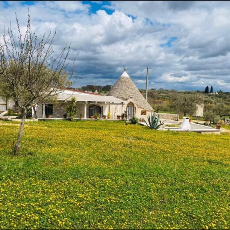 Trullo il Zippo in Zippitello - Casa con 3 Camere da Letto - 14