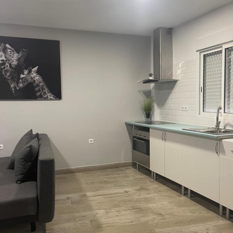 apartamentos Bandera - Apartamento de 2 dormitorios - 6