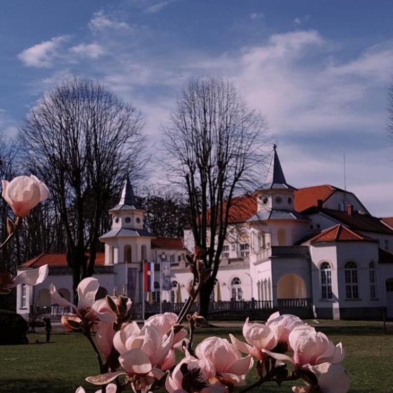 Apartman 21 Banja Koviljača - Apartman sa 1 Spavaćom Sobom - 3