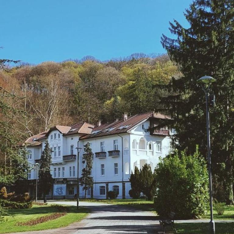 Apartman 21 Banja Koviljača - Apartman sa 1 Spavaćom Sobom - 17