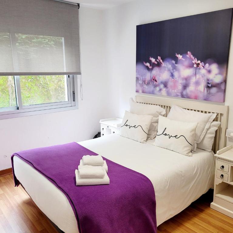 Amplio piso próximo a la Catedral y el Camino. C2 - Apartamento de 3 dormitorios - 8