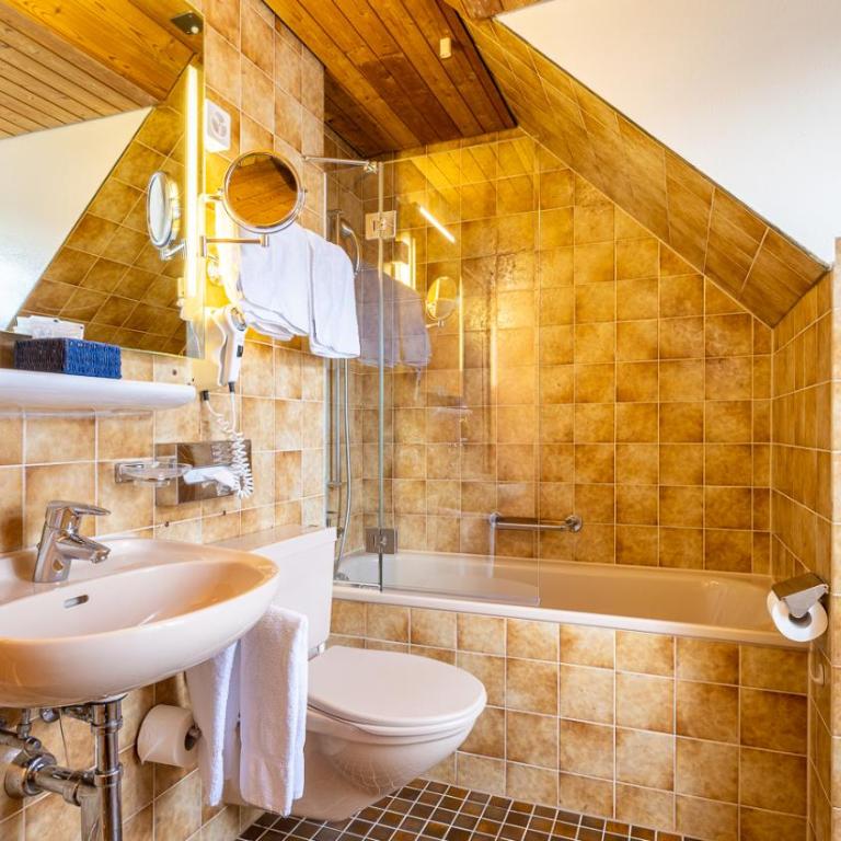 Hotel Drei Könige Luzern - Doppelzimmer mit Dachschräge - 3
