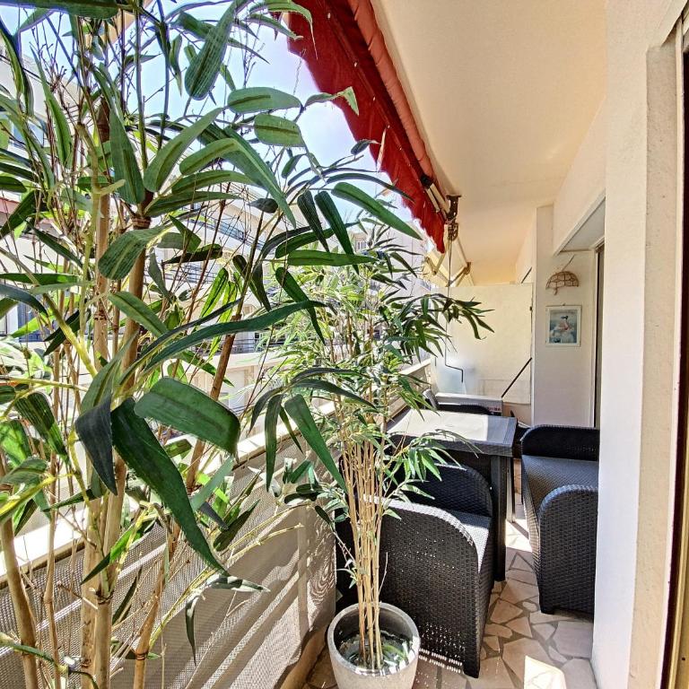 Imperial Croisette FER3417 studio - Estudio - 1