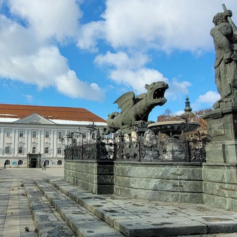 3 Zimmer Zentrum , kontaktloser Check in - Apartment mit 2 Schlafzimmern - 16