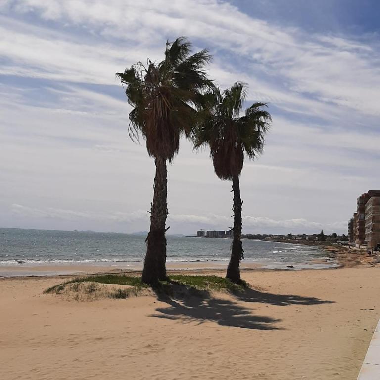 Precioso apartamento con ascensor a 80 metros del mar - One-Bedroom Apartment - 33