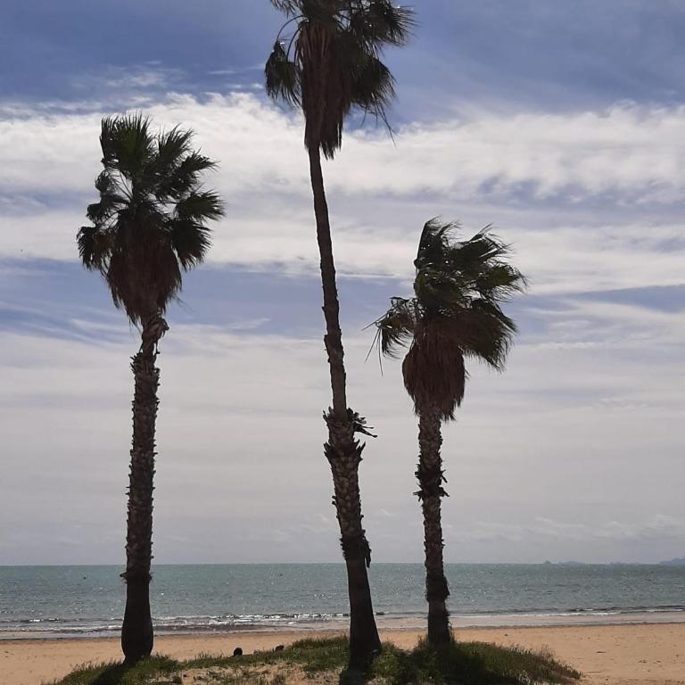 Precioso apartamento con ascensor a 80 metros del mar - One-Bedroom Apartment - 32