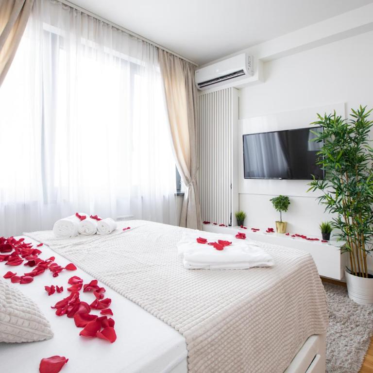 Belgrade Waterfront Apartments - River View - Deluks Dvokrevetni Studio sa Bračnim Krevetom - 6