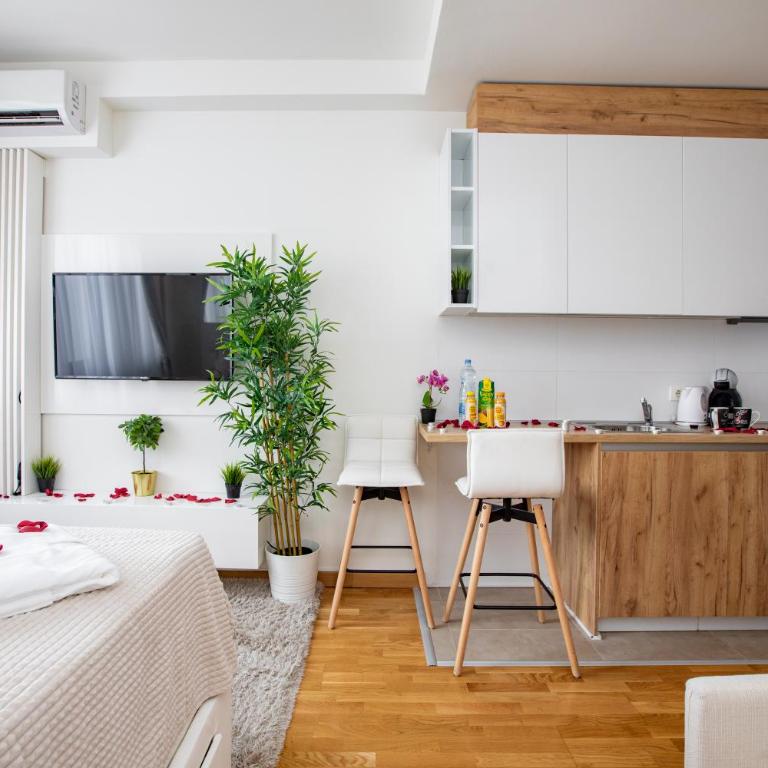 Belgrade Waterfront Apartments - River View - Deluks Dvokrevetni Studio sa Bračnim Krevetom - 4