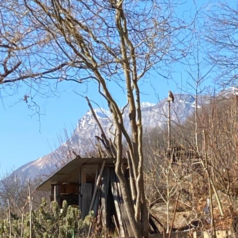 Les hauts des Durnières - Appartement 1 Chambre - 13