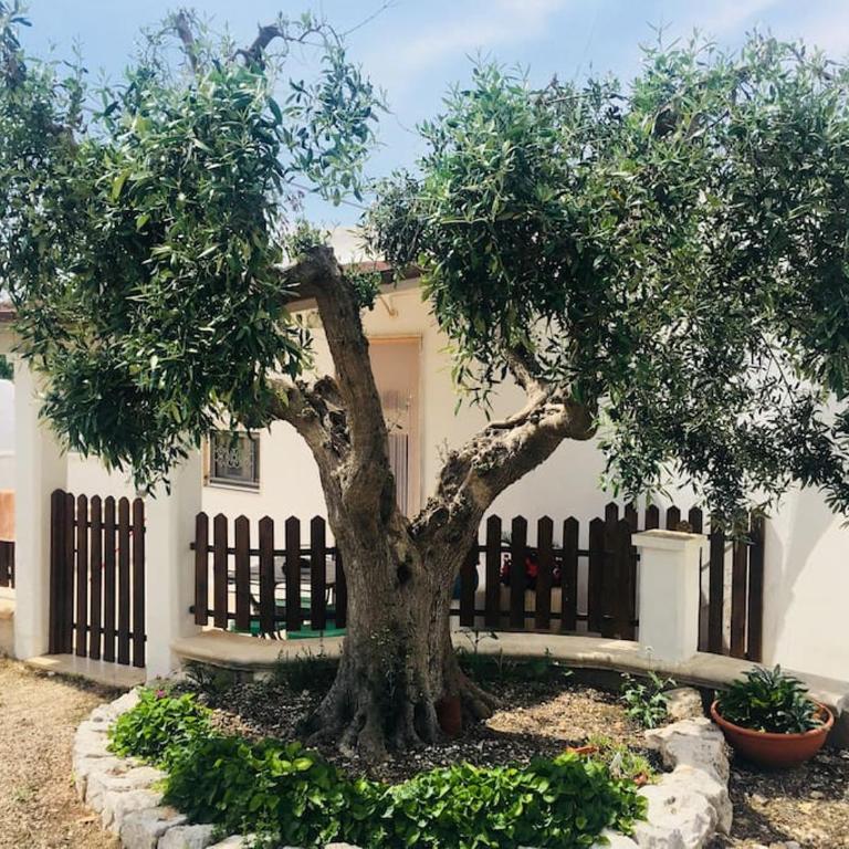 Trullo House - Appartamento con 3 Camere da Letto - 13