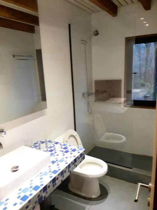 Agradable casa cerca de las termas de Chillan - Casa de 4 dormitorios - 13