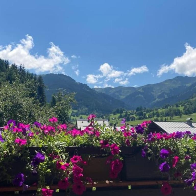 Mountain View Apartment - Apartment mit 1 Schlafzimmer - 2