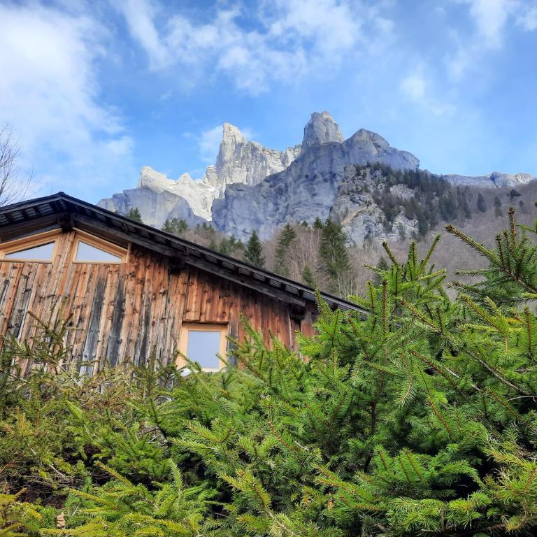 Chalet la corne du chamois - Chalet 2 Chambres - 4