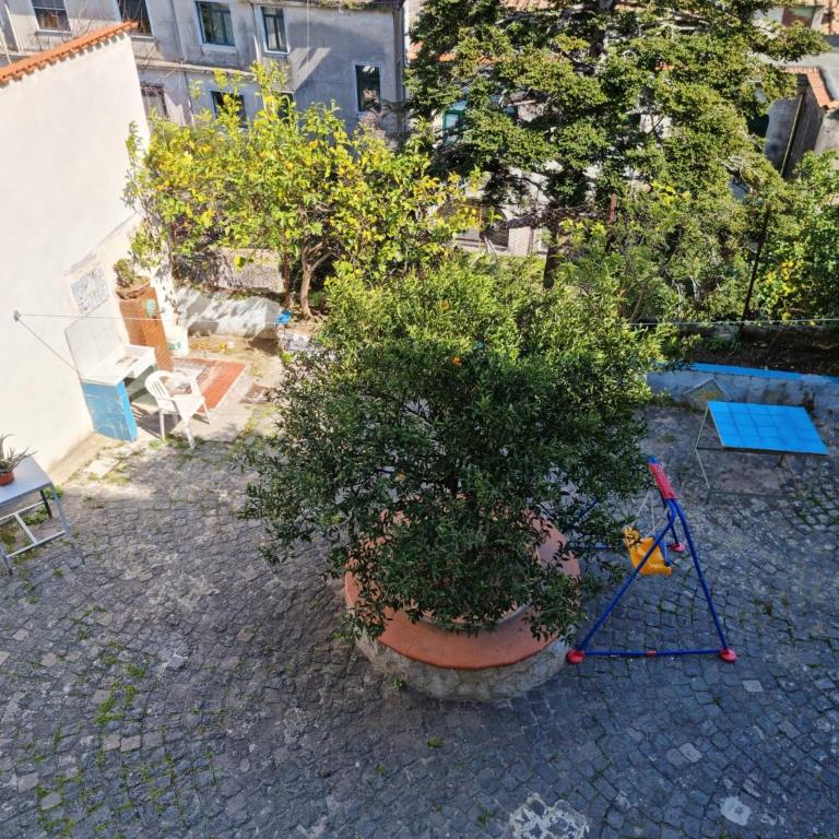La casa nel duomo Vietri sul Mare - Two-Bedroom Apartment - 34