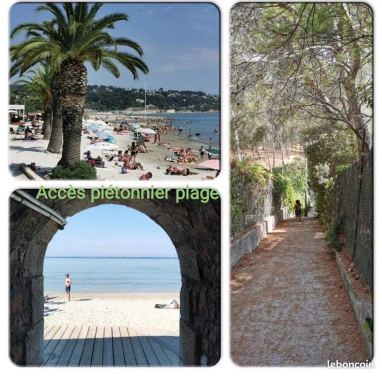 STUDIO RDJ TERRASSE PISCINE SANARY SUR MER Proche plages à pieds - Apartment mit 1 Schlafzimmer - 11
