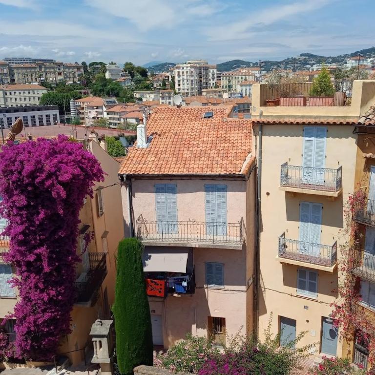 Cadre de rêve mais vous faites le ménage- very good prices but you have to clea-n th-e flat - One-Bedroom Apartment - 6