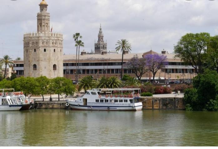 Apartamento acogedor junto a Calle Betis, TRIANA-LOS REMEDIOS - Apartamento Estudio - 35