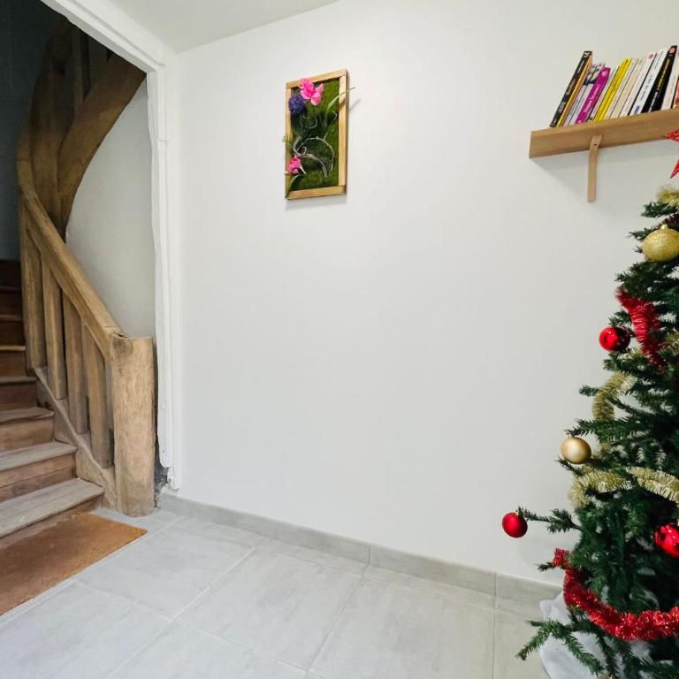 ENTRE 2 RIVES Échappée Amboisienne avec sauna partagé - Appartement - 29