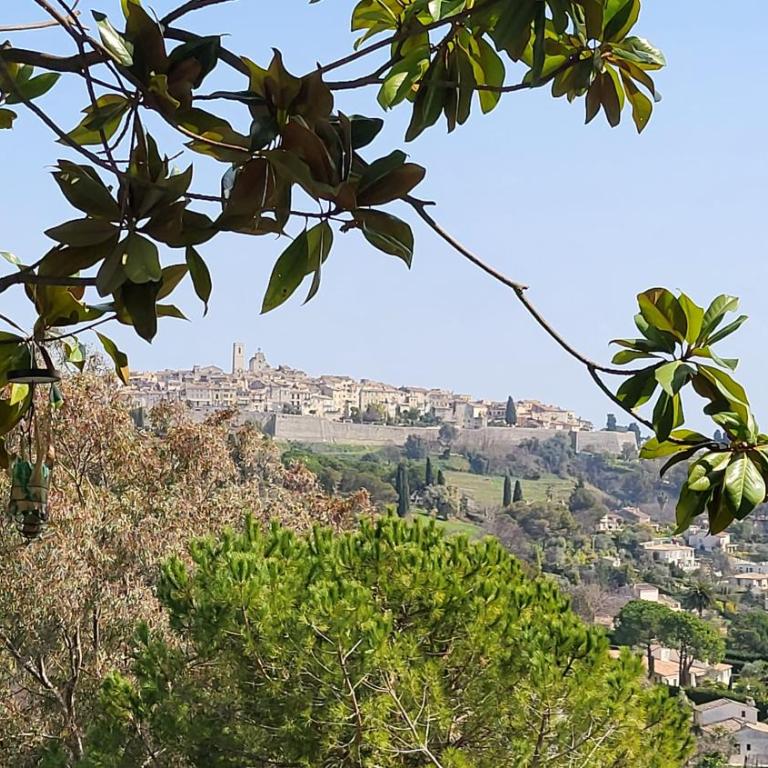 Ideal BnB, Luxury Apartments - Apartment with Garden View and Pool - 5