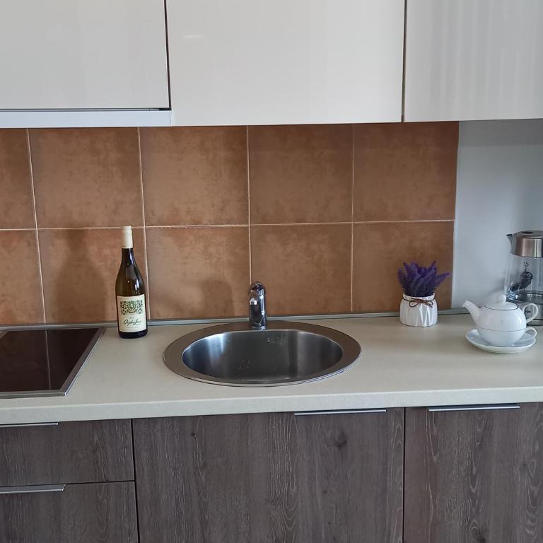 Studio Diamondlux Vrnjačka Banja - One-Bedroom Apartment - 5