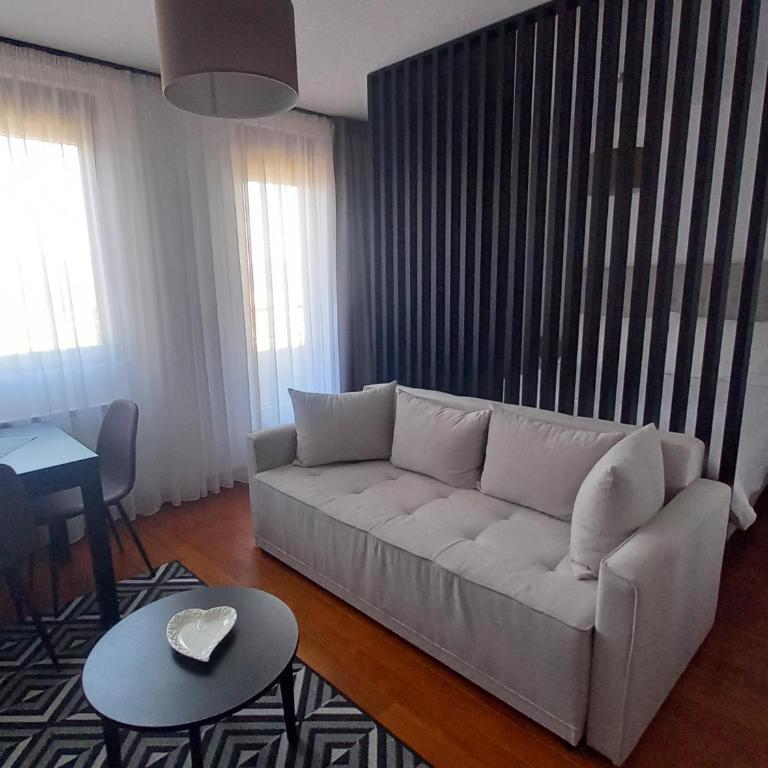 Studio Diamondlux Vrnjačka Banja - One-Bedroom Apartment - 3