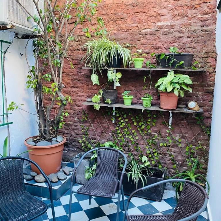 Departamento 3 ambientes con patio, terraza y parrila - Two-Bedroom Apartment - 13