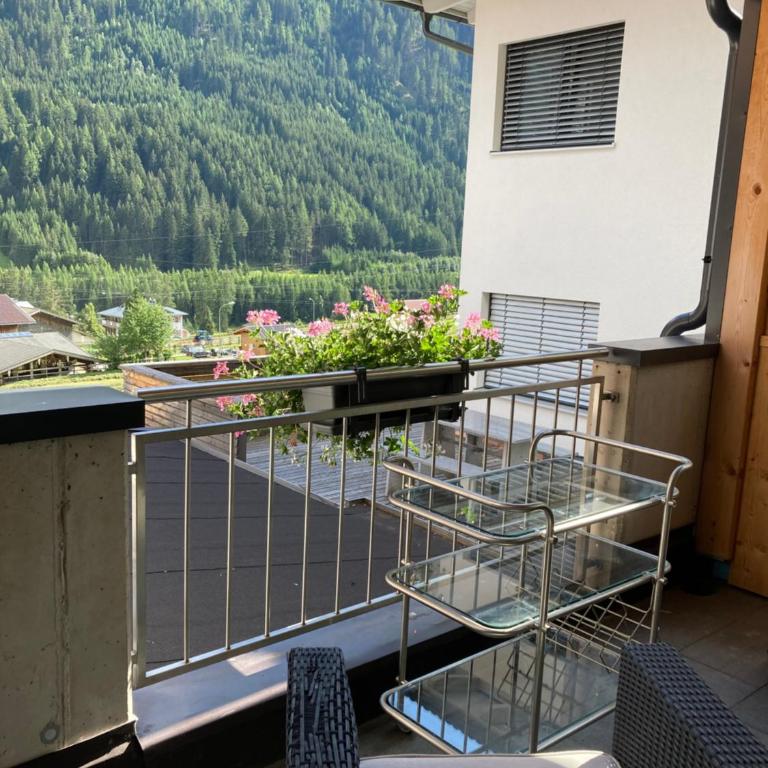 Apart Jehle - Apartment mit Terrasse - 21