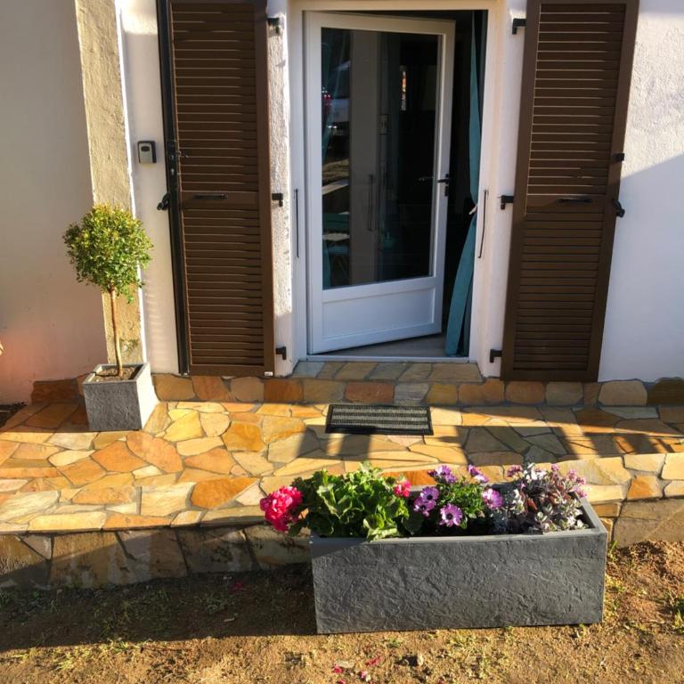Charmant appartement à Ajaccio - Appartement 1 Chambre - 6