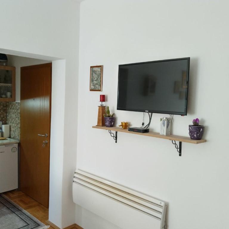 Apartman Krstić - Apartman sa 1 Spavaćom Sobom - 4