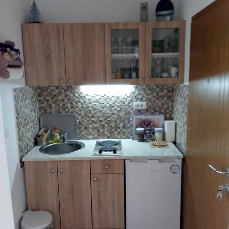 Apartman Krstić - Apartman sa 1 Spavaćom Sobom - 18