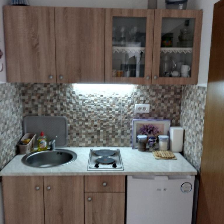 Apartman Krstić - Apartman sa 1 Spavaćom Sobom - 19