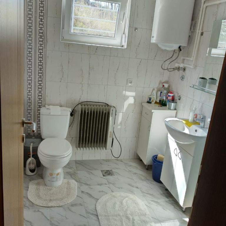 Apartman Krstić - Apartman sa 1 Spavaćom Sobom - 20