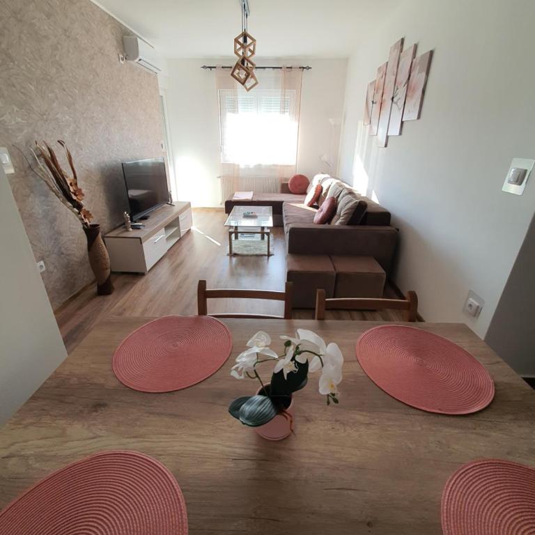 Apartman Banija - Apartman sa 1 Spavaćom Sobom - 1