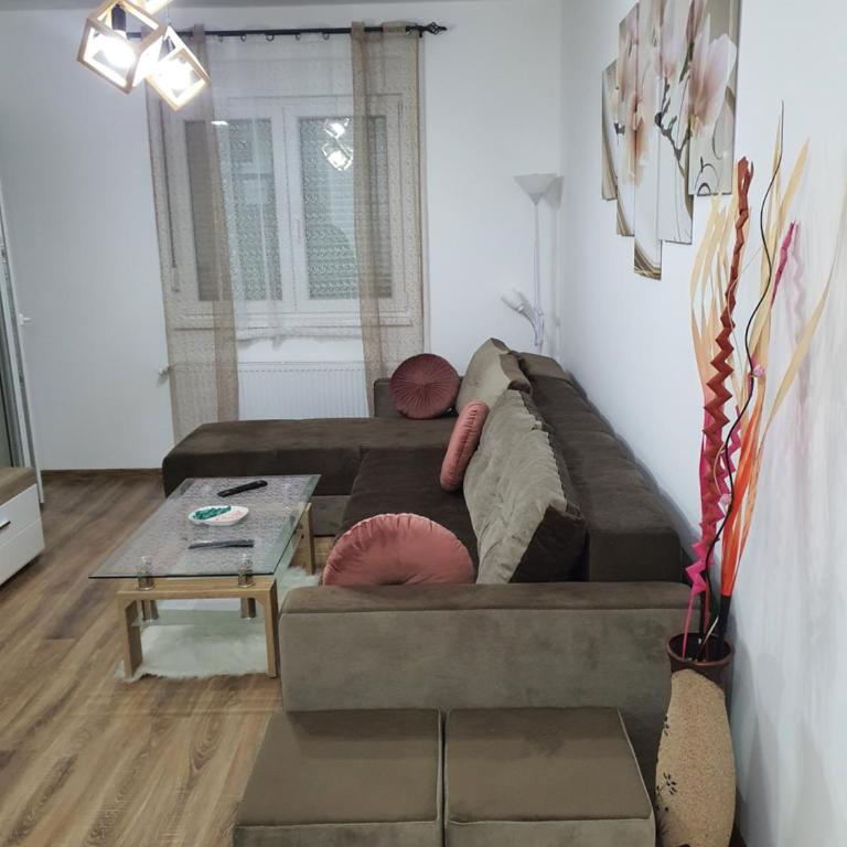 Apartman Banija - Apartman sa 1 Spavaćom Sobom - 20