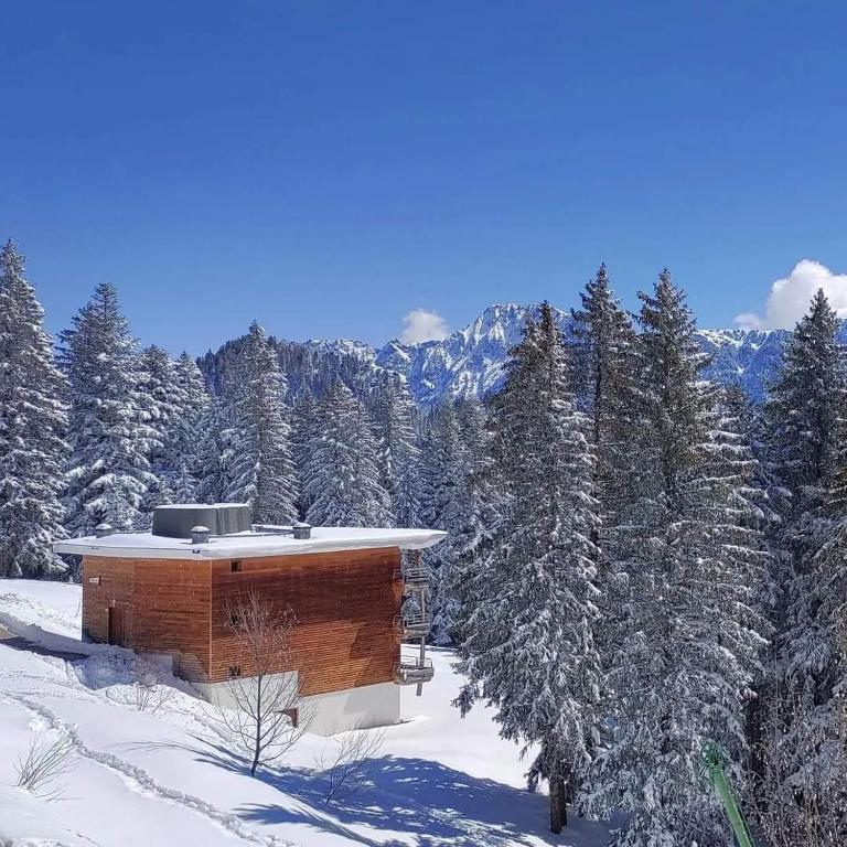 Chamrousse 1700 - Les Domaines de LArselle - Silènes C32 - Classé 3 étoiles- Vue sur les montagnes - - Apartamento de 2 dormitorios - 21