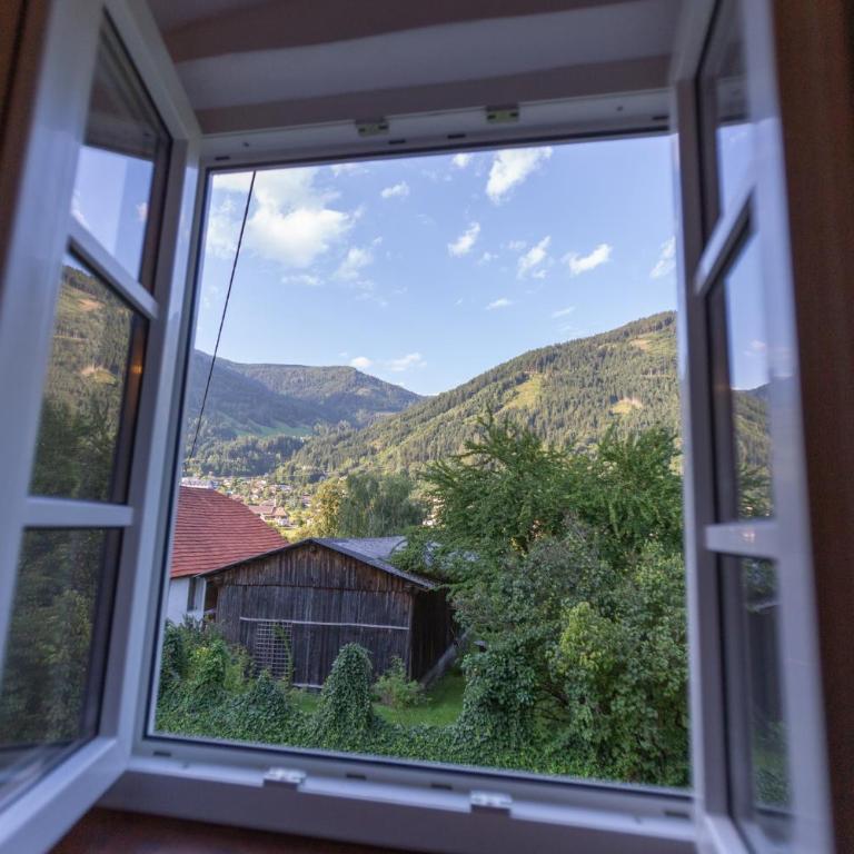 Ferien- und Pferdegut Schloss Treffen - Apartment mit Blick auf die Berge - 5