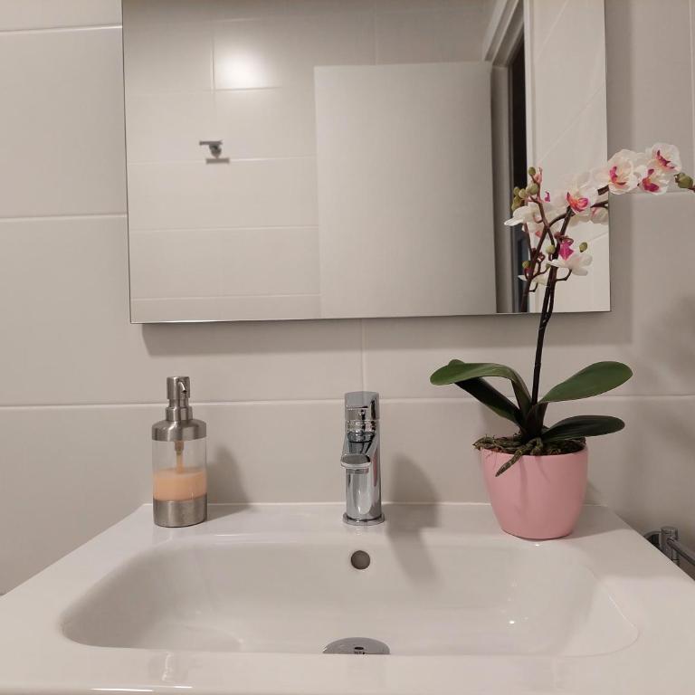 Ibarrenea Apartamento - Apartamento de 1 dormitorio - 16